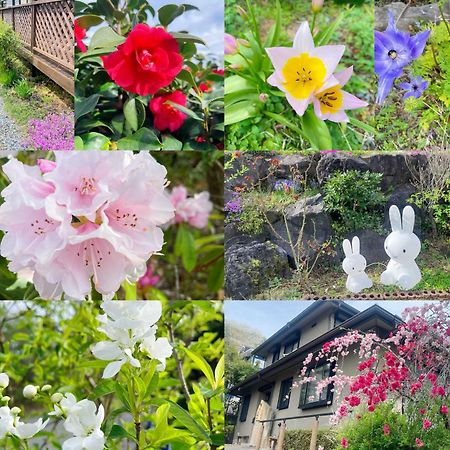 貸別荘花摘里　伊豆高原 Futo Eksteriør bilde