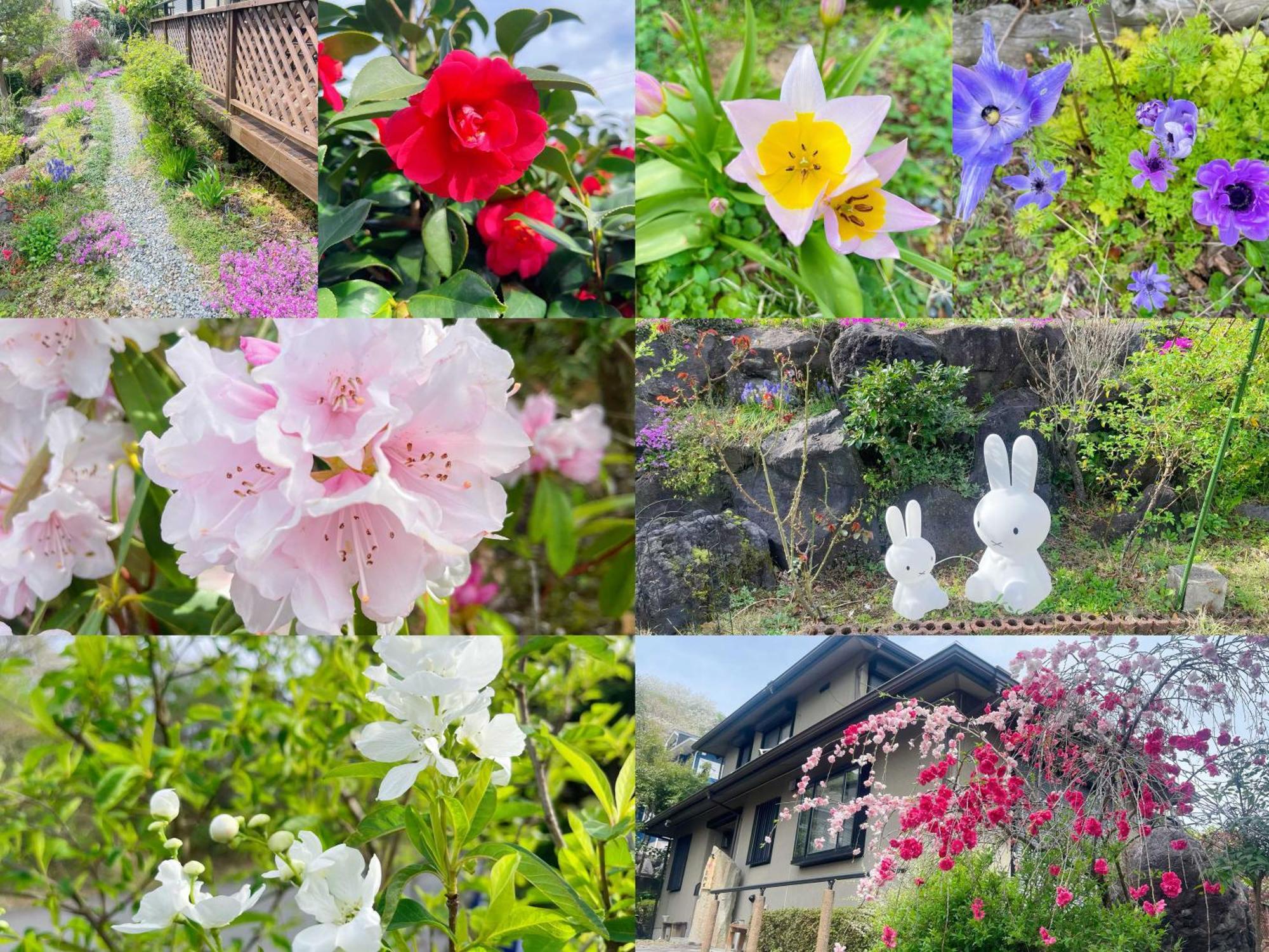 貸別荘花摘里　伊豆高原 Futo Eksteriør bilde