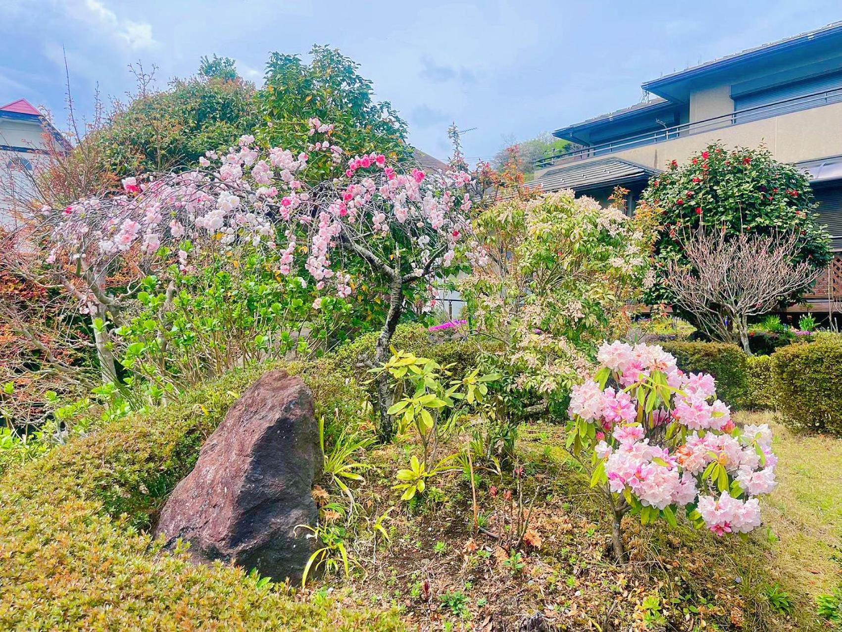 貸別荘花摘里　伊豆高原 Futo Eksteriør bilde